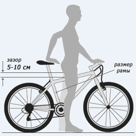 Различные производители могут по-разному обозначать размер рамы велосипеда: сантиметры (см), дюйма ( ) и условные обозначения (XS, S, M, L, XL)